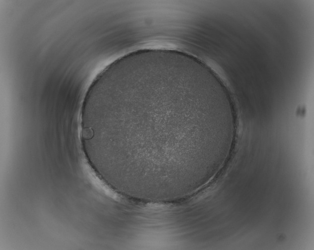 X0000111050840200906251431