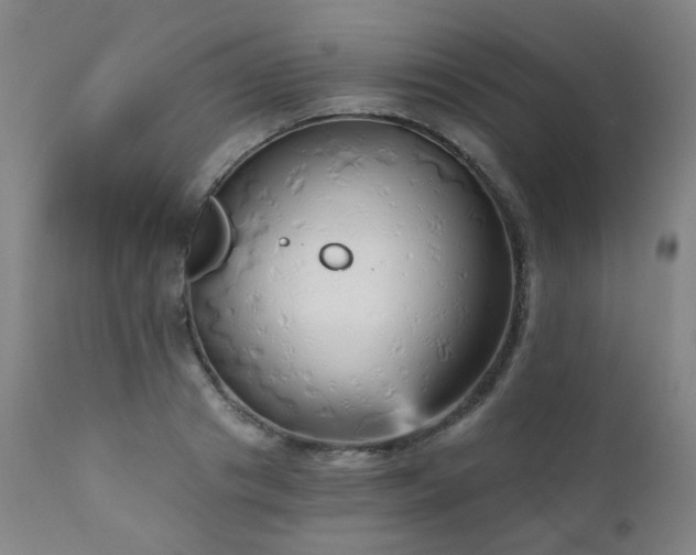 X0000111050841200906251431
