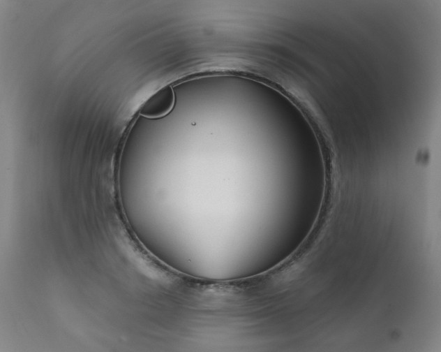 X0000111050842200906251431