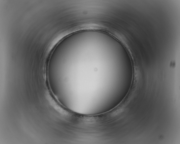 X0000111050843200906251431