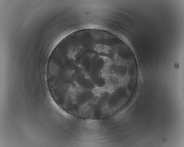X0000111050847200906251431