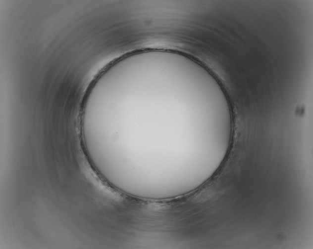 X0000111050848200906251431