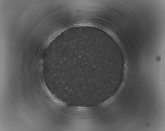 X0000111050849200906251431