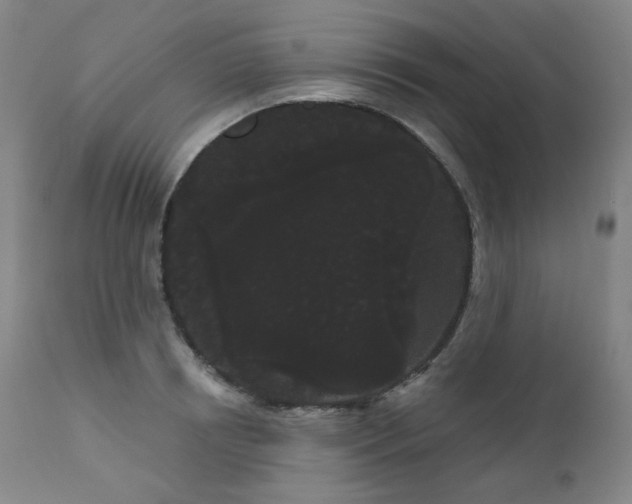 X0000111050850200906251431