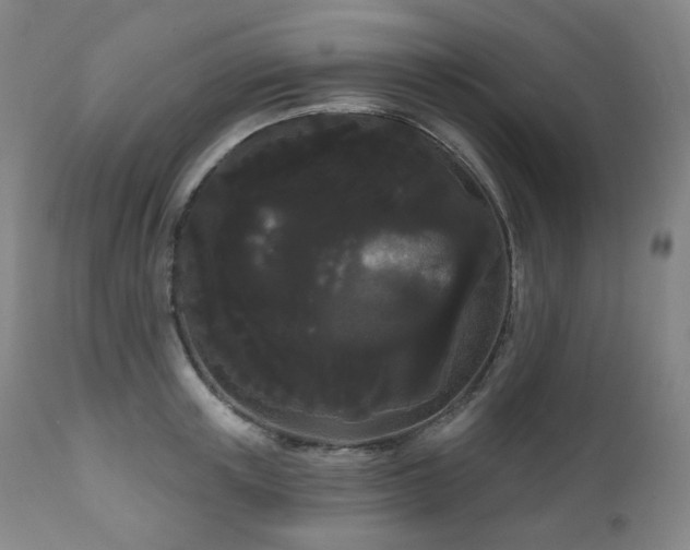 X0000111050851200906251431