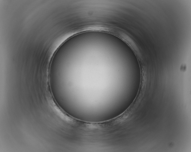X0000111050852200906251431