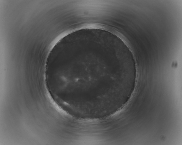 X0000111050853200906251431