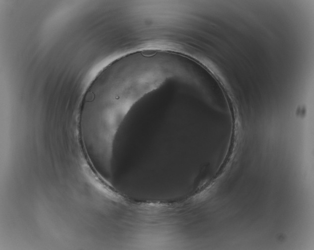 X0000111050854200906251431