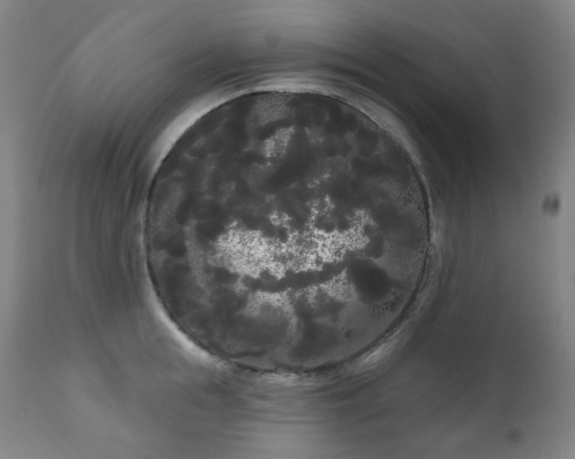 X0000111050855200906251431