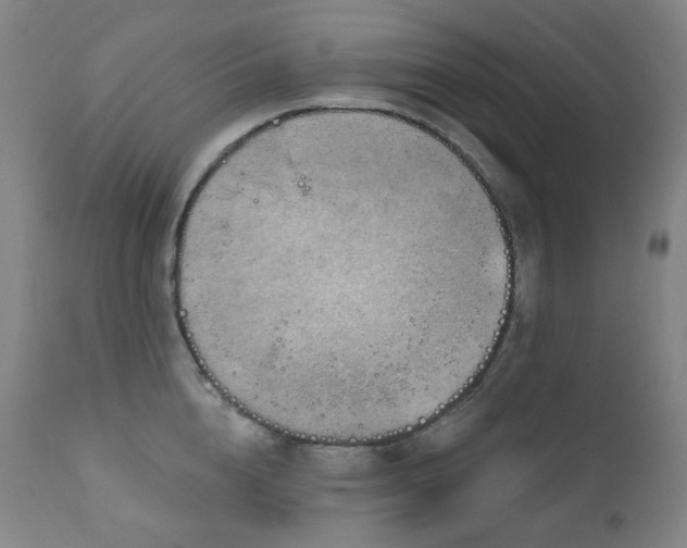 X0000111050856200906251431