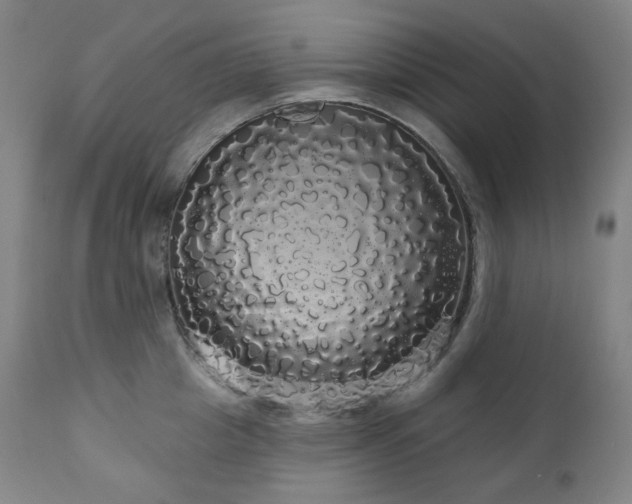 X0000111050857200906251431