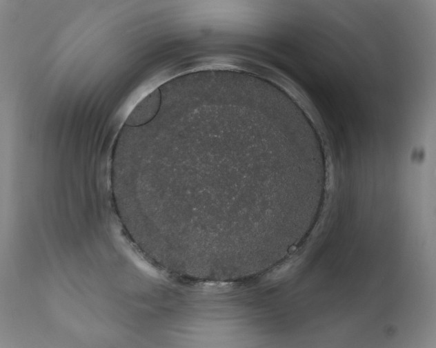 X0000111050858200906251431