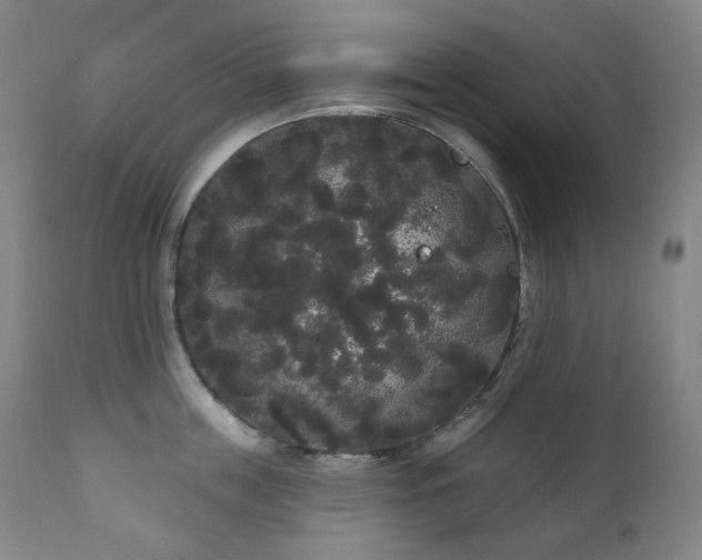 X0000111050859200906251431