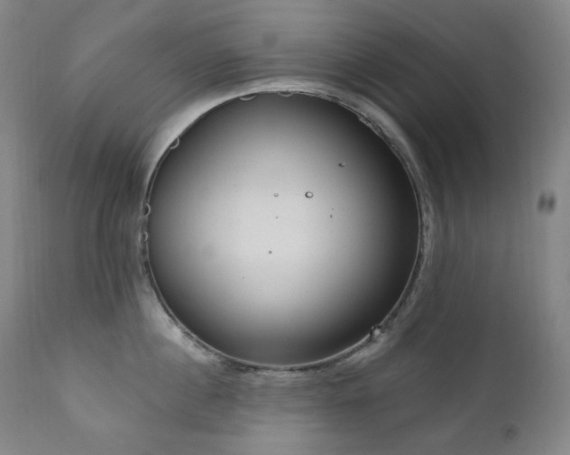 X0000111050860200906251431