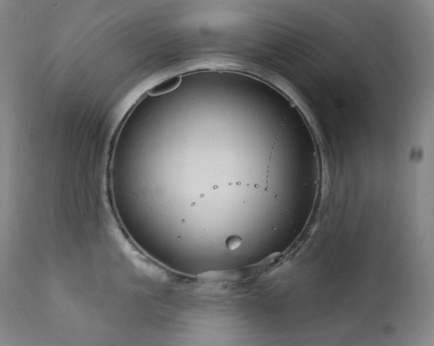 X0000111050861200906251431