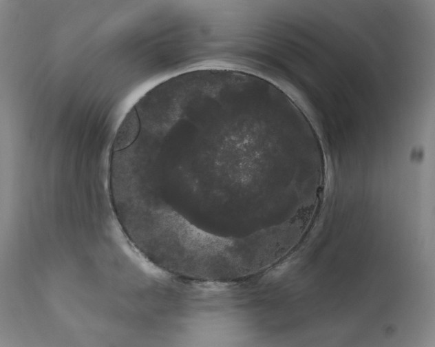 X0000111050862200906251431
