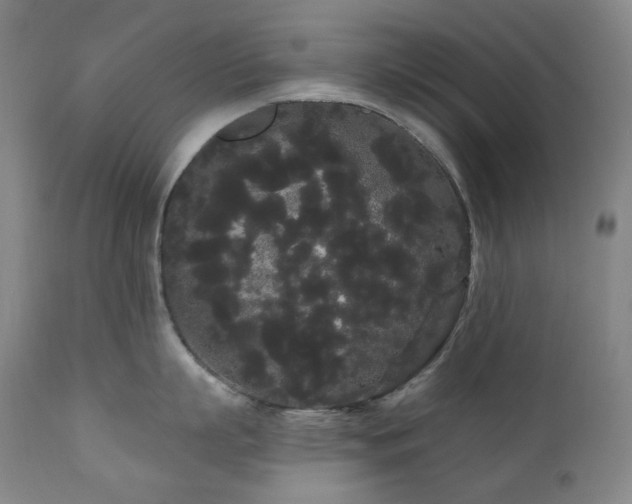 X0000111050863200906251431