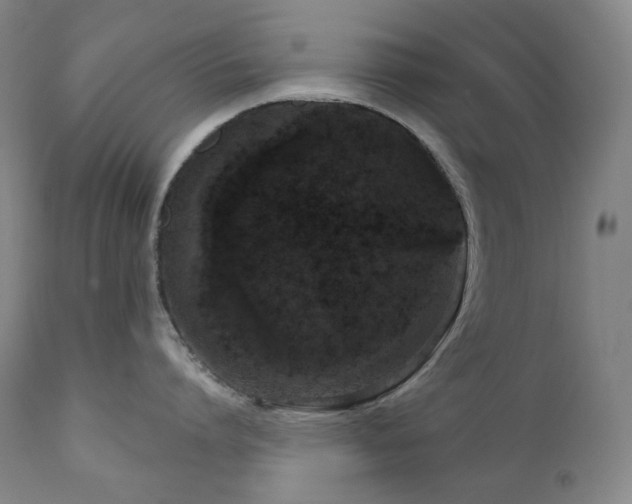 X0000111050864200906251431