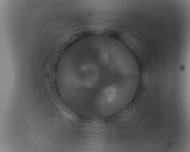 X0000111050865200906251430