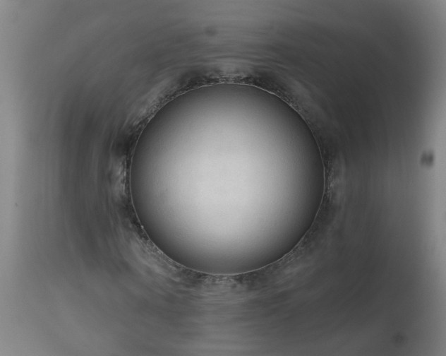 X0000111050866200906251430