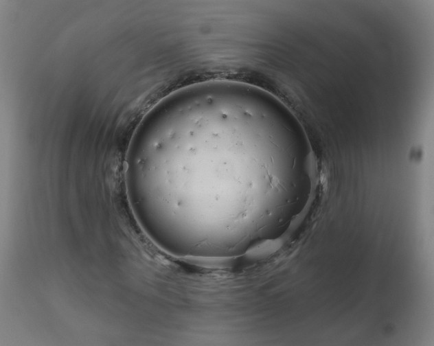 X0000111050867200906251430
