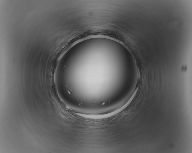 X0000111050868200906251430