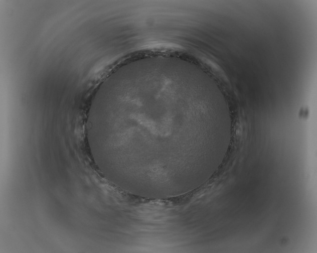 X0000111050869200906251430