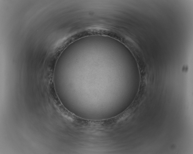 X0000111050870200906251430