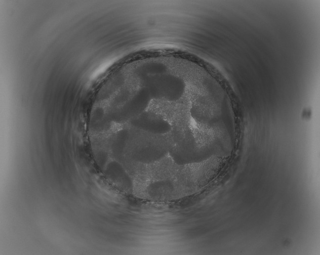 X0000111050871200906251430