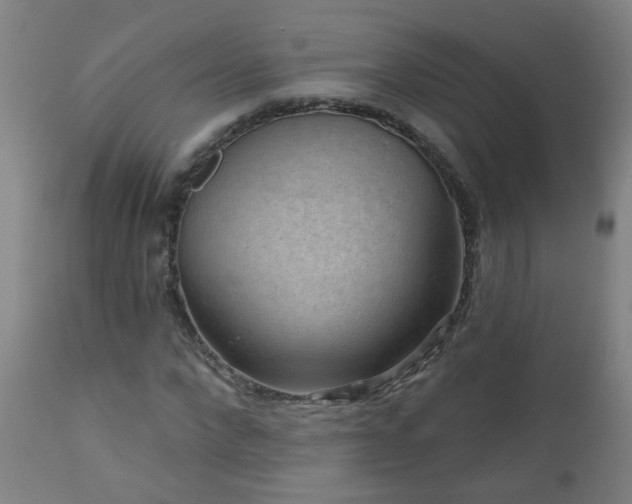 X0000111050872200906251430