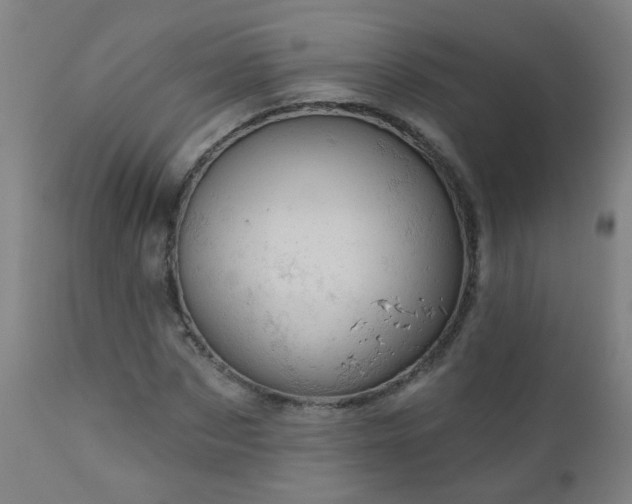 X0000111050873200906251430