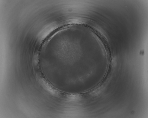 X0000111050874200906251430