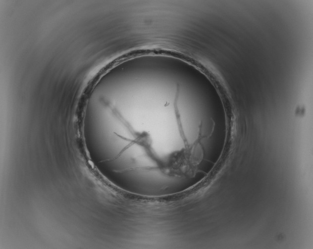X0000111050876200906251430