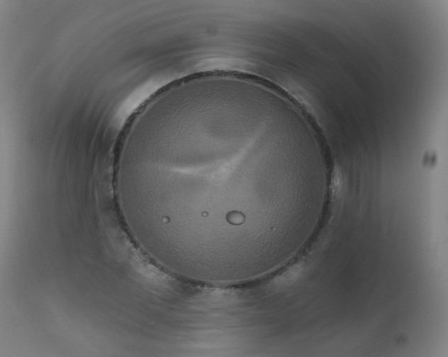 X0000111050877200906251430