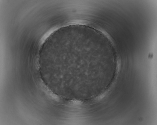 X0000111050878200906251430