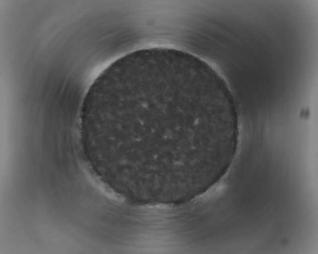 X0000111050879200906251430