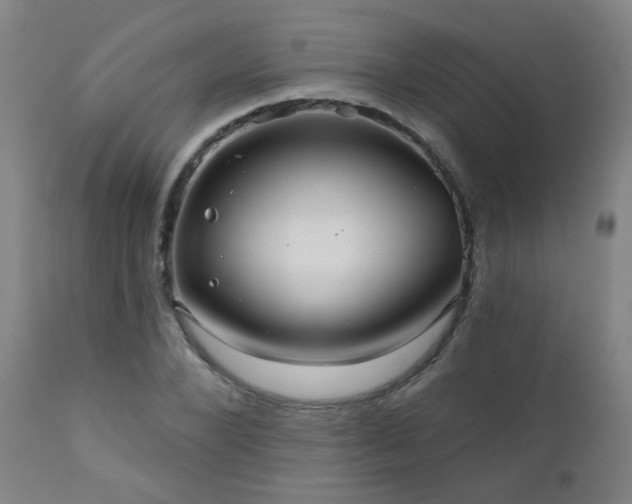 X0000111050880200906251430