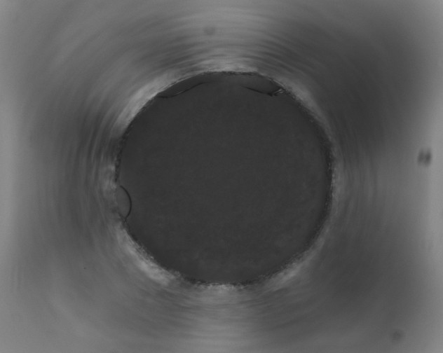 X0000111050881200906251430