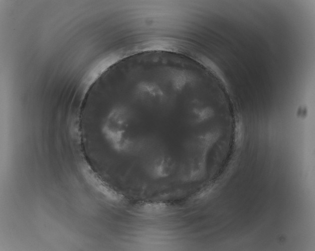 X0000111050882200906251430