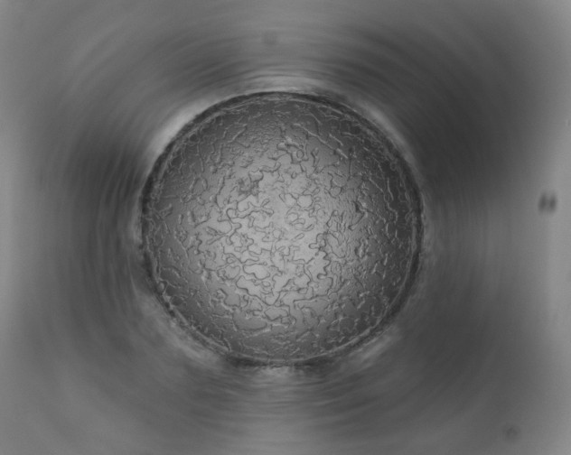 X0000111050883200906251430