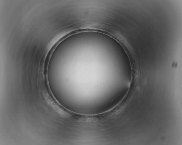 X0000111050884200906251430
