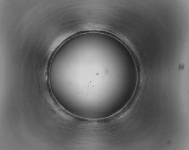 X0000111050885200906251430