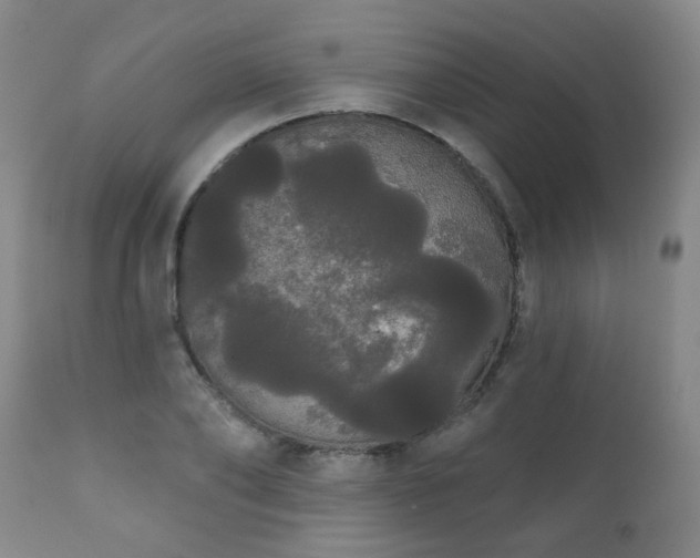 X0000111050886200906251430