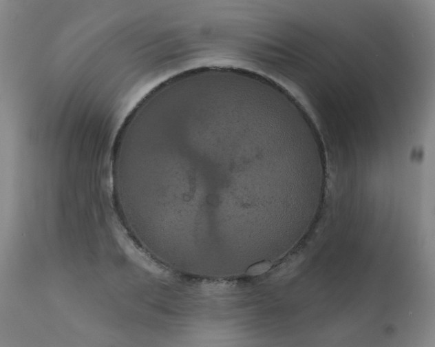 X0000111050887200906251430