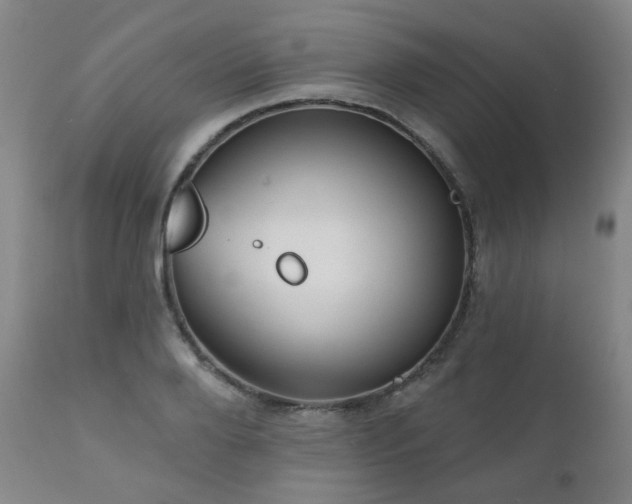 X0000111050888200906251430