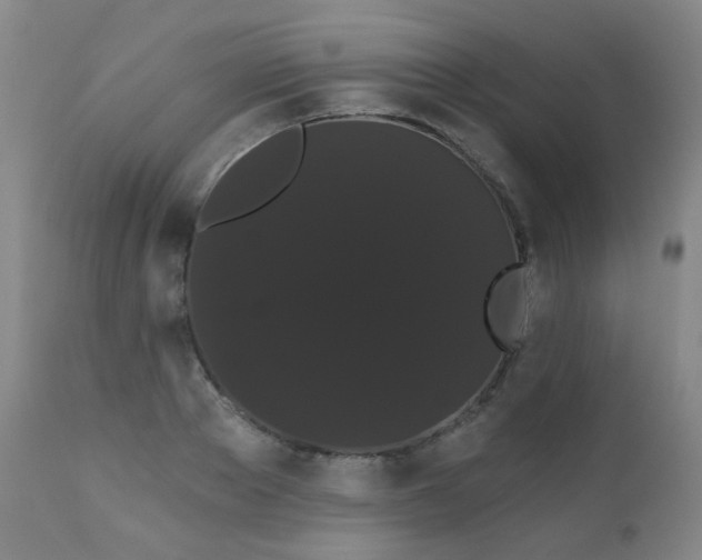 X0000111050889200906251430