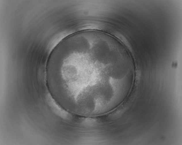 X0000111050890200906251430