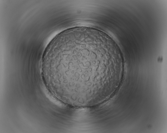 X0000111050891200906251430