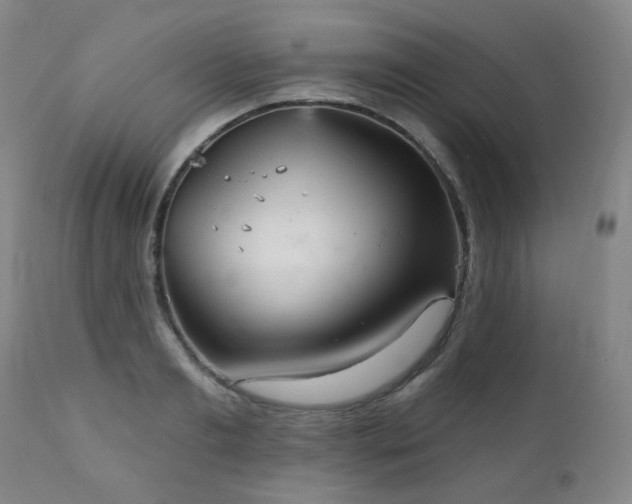 X0000111050893200906251430