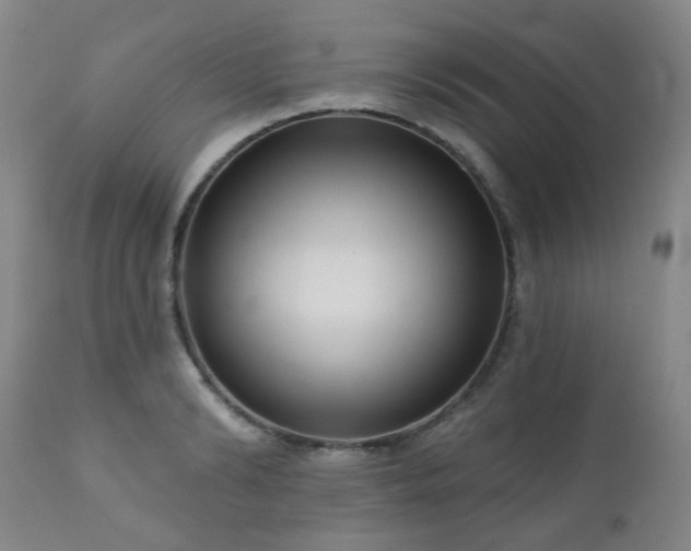 X0000111050894200906251430